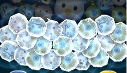 エルサスキル2