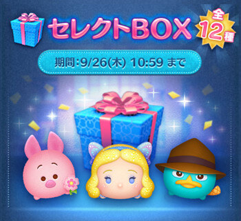 2024年9月セレクトボックス3回目