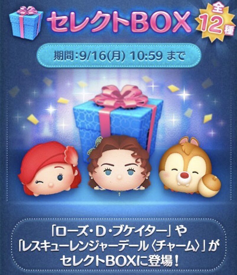 2024年9月セレクトボックス2回目