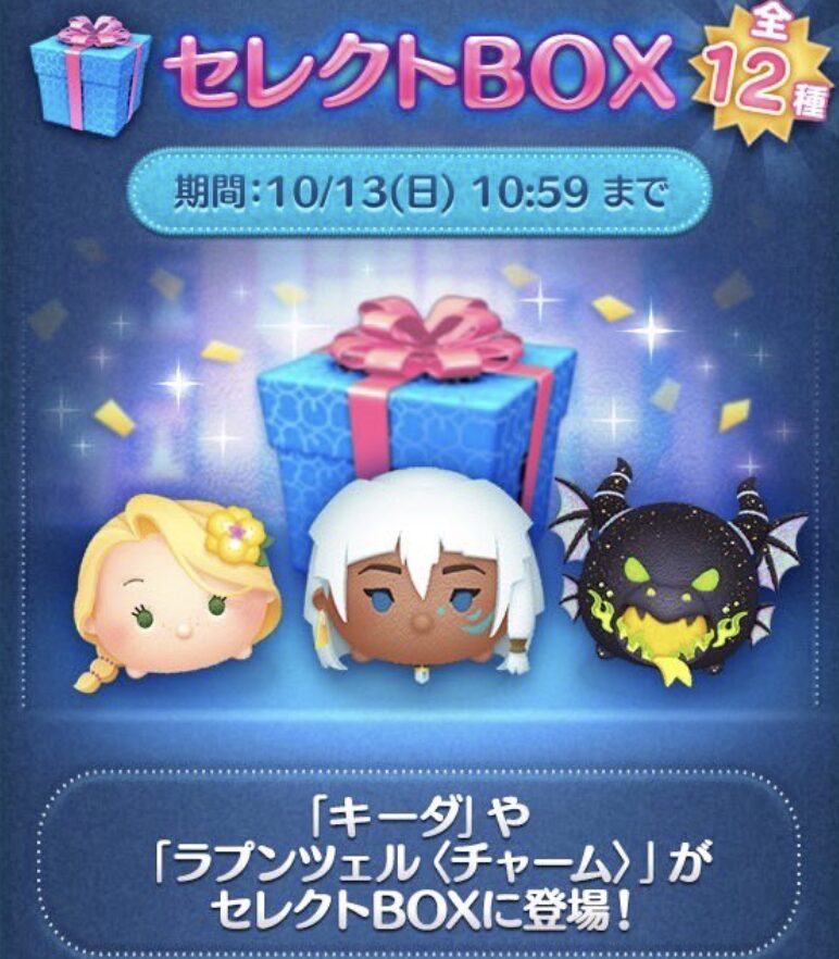 2024年10月セレクトボックス2回目