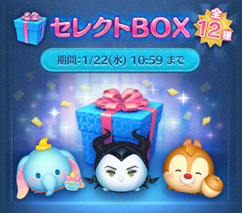 2025年1月セレクトBOX