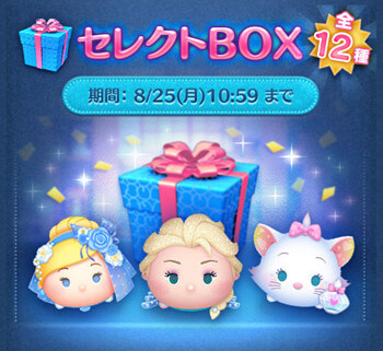 2025年8月セレクトボックス3回目