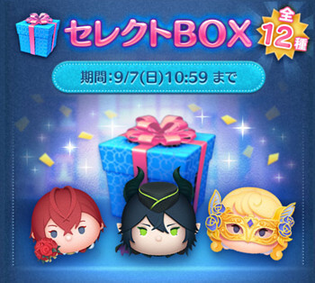 2025年9月セレクトボックス1回目